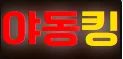 야동킹